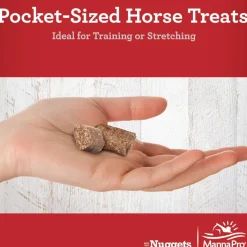 Manna Pro Carrots & Spice Bite-Sized Nugget Treats for Horses (4 lb)