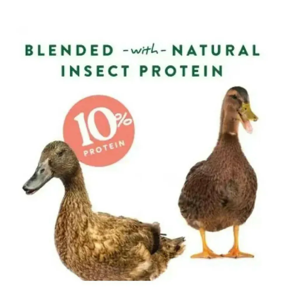 Manna Pro Duck Discs Treats for Waterfowl (1 lb)