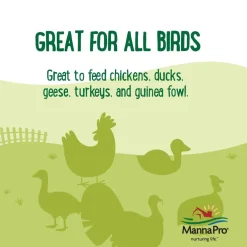 Manna Pro Farmhouse Favorites Double Bug Mix Poultry Treat (2 lb)