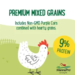 Manna Pro Farmhouse Favorites Sunflower Mix Up Poultry Treats (1 lb)