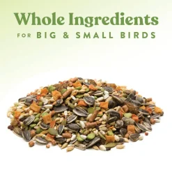 Manna Pro Garden Delight Poultry Treats for Chickens (2.25 lb)