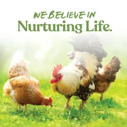 Manna Pro Garden Delight Poultry Treats for Chickens (2.25 lb)
