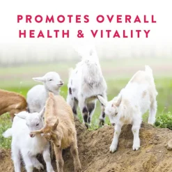 Manna Pro Goat Balancer Comprehensive Supplement (10 lb)