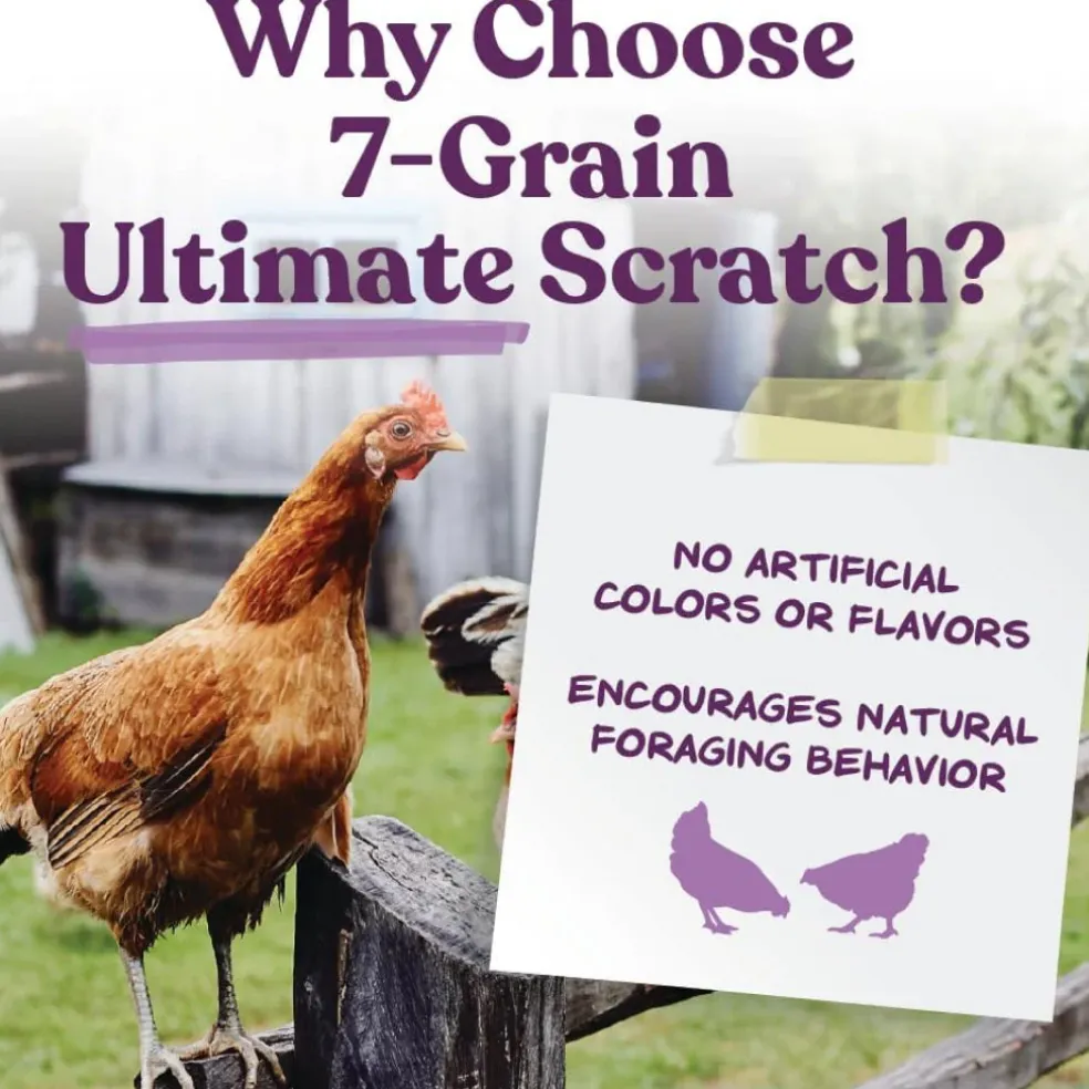 Manna Pro 7-Grain Ultimate Scratch Poultry Treat (10 lb)