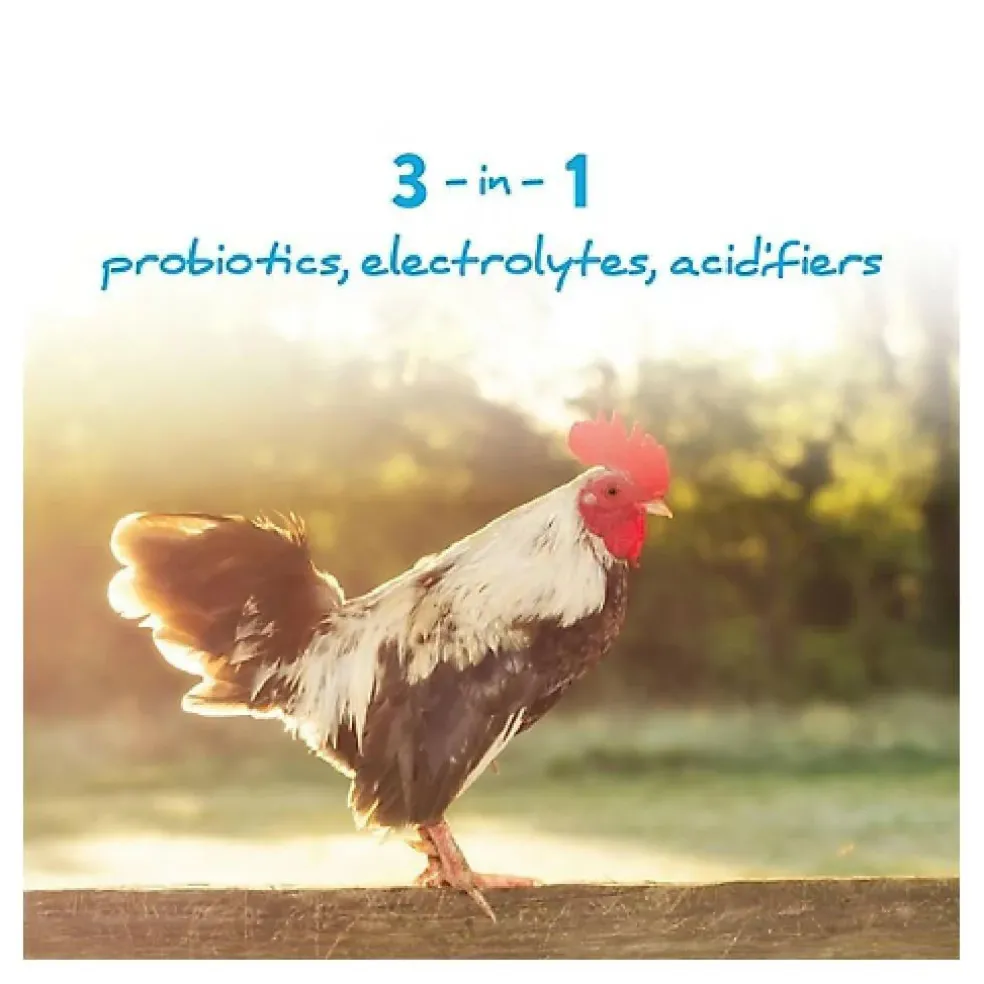 Manna Pro Hydro-Hen 3-in-1 Water Supplement for Poultry