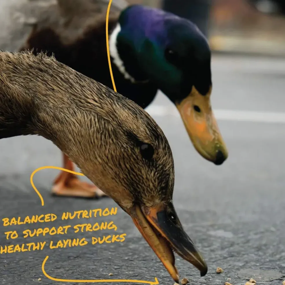 Manna Pro Layer Pellets for Ducks (8 lb)