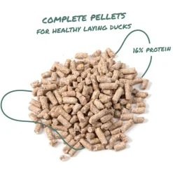 Manna Pro Layer Pellets for Ducks (8 lb)