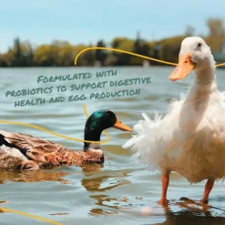 Manna Pro Layer Pellets for Ducks (8 lb)