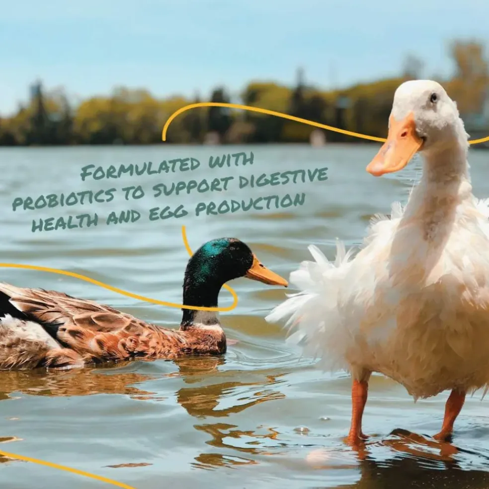 Manna Pro Layer Pellets for Ducks (8 lb)