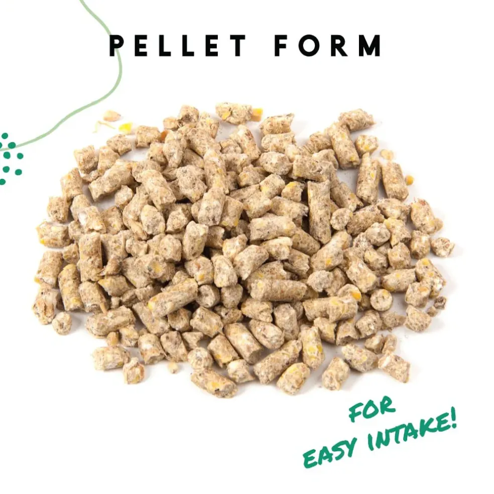 Manna Pro 16% Layer Pellets with Probiotics for Laying Hens (8 lb)