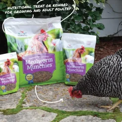 Manna Pro Mealworm Munchies Poultry Treats (10 oz)