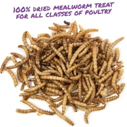 Manna Pro Mealworm Munchies Poultry Treats (10 oz)