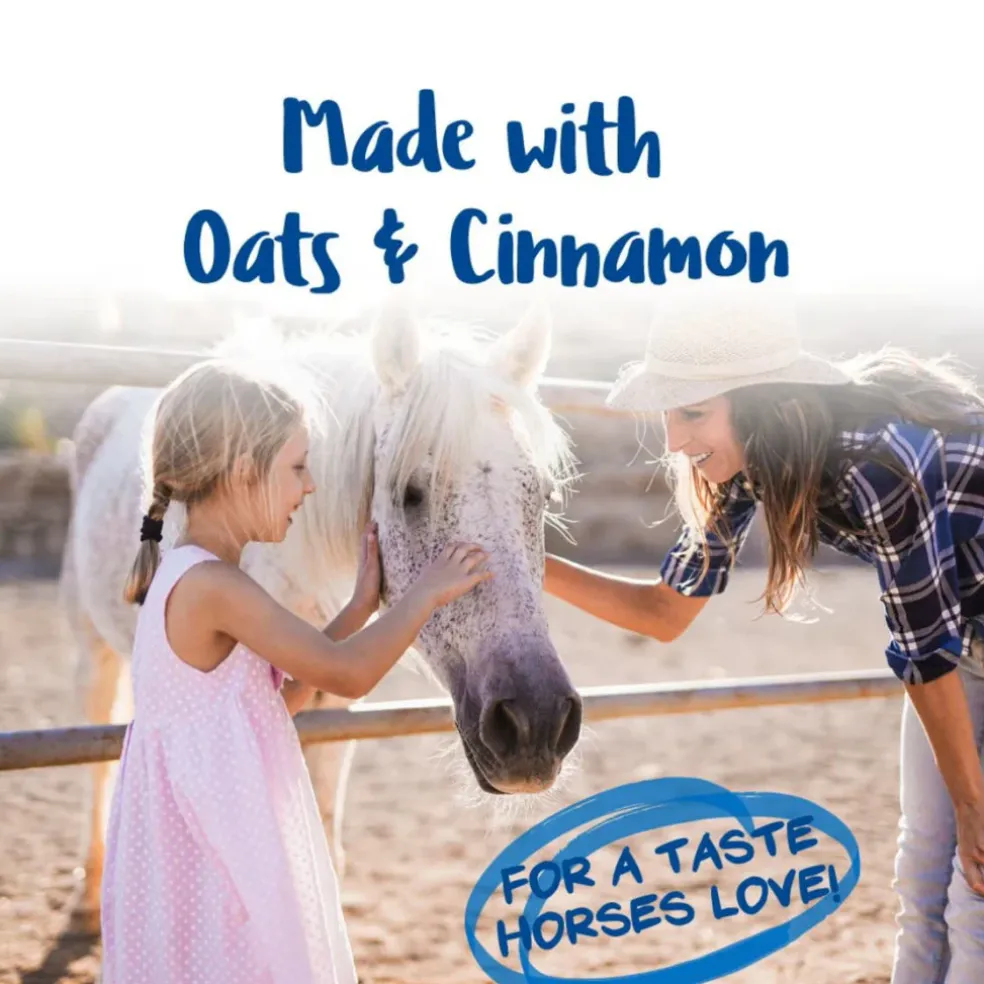 Manna Pro Nutrigood Flax Snax Cinnamon Treats for Horses (3.2 lb)