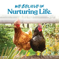 Manna Pro Products Oyster Shell Poultry Supplement (5 lb)
