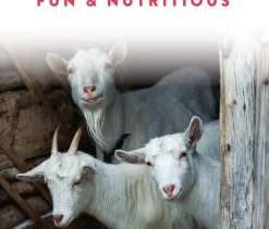 Manna Pro Treats +Probiotics for Goats (5 lb)