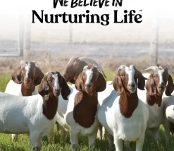 Manna Pro Treats +Probiotics for Goats (5 lb)