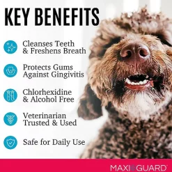 Maxi/Guard Oral Cleansing Gel, 4-oz
