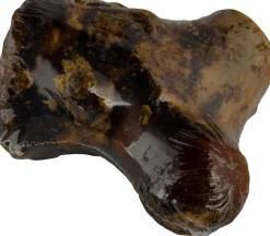 Meaty Smoked Beef Knuckle Bone 4-5”