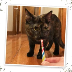 Meowijuana Birthjays Party-Size Catnip Joints with Organic Catnip