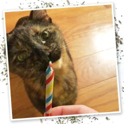 Meowijuana Birthjays Party-Size Catnip Joints with Organic Catnip