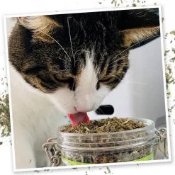 Meowijuana Catnibas Catnip Pawty Mix Premium Blend (2.11 oz)