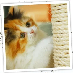 Meowijuana Catnip Spray (1 oz)