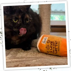 Meowijuana 