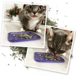 Meowijuana Meowi-Waui Ground Catnip & Catnip Buds (0.917 oz)