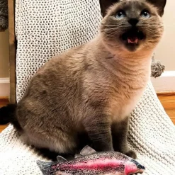Meowijuana Refillable Get Smoked Fish Cat Toy with Refillable Catnip