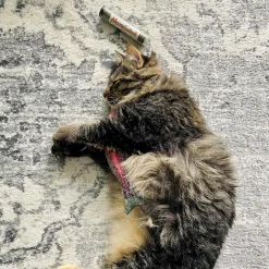 Meowijuana Refillable Get Smoked Fish Cat Toy with Refillable Catnip