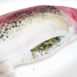 Meowijuana Refillable Get Smoked Fish Cat Toy with Refillable Catnip