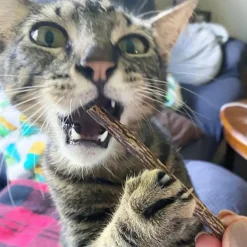 Meowijuana Silvervine Sticks for Cats (6 ct)