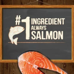 Merrick Power Bites Soft & Chewy Grain Free Real Salmon Dog Treats (6 oz)