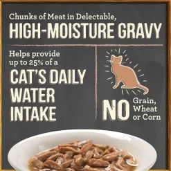 Merrick Purrfect Bistro Grain Free Bon Appetits Gravies Adult Wet Cat Food, Chicken Recipe Chunks in Gravy (3 oz x 24 pouches)
