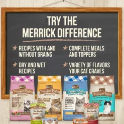 Merrick Purrfect Bistro Grain Free Premium Pate Kitten Wet Cat Food, Chicken Dinner Recipe for Kittens (5.5 oz x 24 cans)
