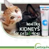 Methigel Urinary Supplement for Cats & Dogs (4.25 oz tube)