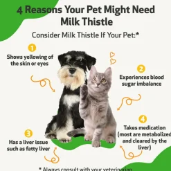 Milk Thistle - for Healthy Liver Function in Cats