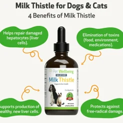 Milk Thistle - for Healthy Liver Function in Cats