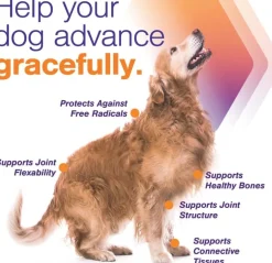 MovoFlex ADVANCED Joint Support for Large Dogs (60 soft chews)