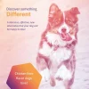 MovoFlex Joint Support for Medium Dogs (60 soft chews)