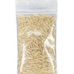 MultiPet Catnip Garden Cat Grass Kit