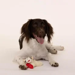 Multipet Lamb Chop Knobby Noggins Plush Squeaky Dog Toy Assorted 5