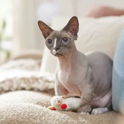 Multipet Lamb Chop Plush Toy with Catnip For Cats