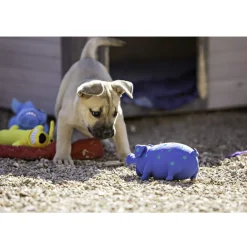 Multipet Latex Globlet Grunting Pig Toy For Dogs- Assorted Colors