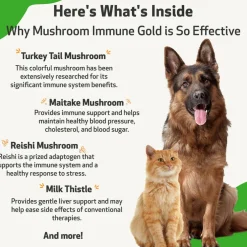 Mushroom Immune Gold - Holistic Cancer Support for Cats (8 oz)