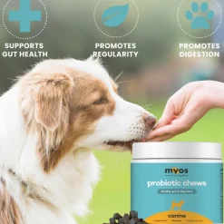MYOS Canine Probiotic Chews for Dogs (60 chews)