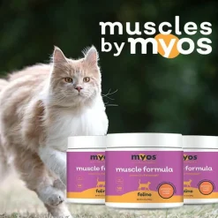 MYOS Feline Muscle Health Formula, 180g (180 scoops)