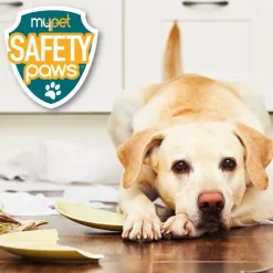 Mypet Safety Paws Pet Proofing Starter Set For Dogs & Cats