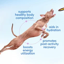 Native Pet Goat Milk Powder Recovery & Energy Support For Active Dogs