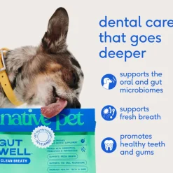 Native Pet Gutwell Clean Breath, Dental Care Supplement for Dogs (60 scoops)